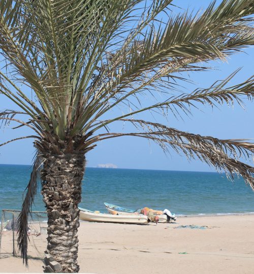 Oman_BeachCoastline_Atheiba