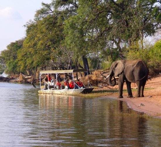 chobe-royal-african-discoveries