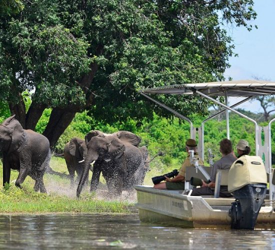 chobe-royal-african-discoveries_b