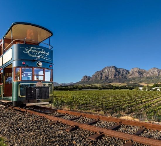 wine-tram-royal-african-discoveries